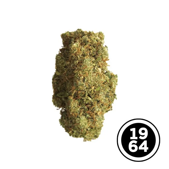 Organic Blue Dream 3.5g (1964)