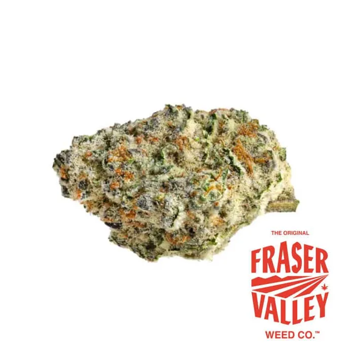 Strawberry Amnesia 28g (The Original Fraser Valley Weed Co.)